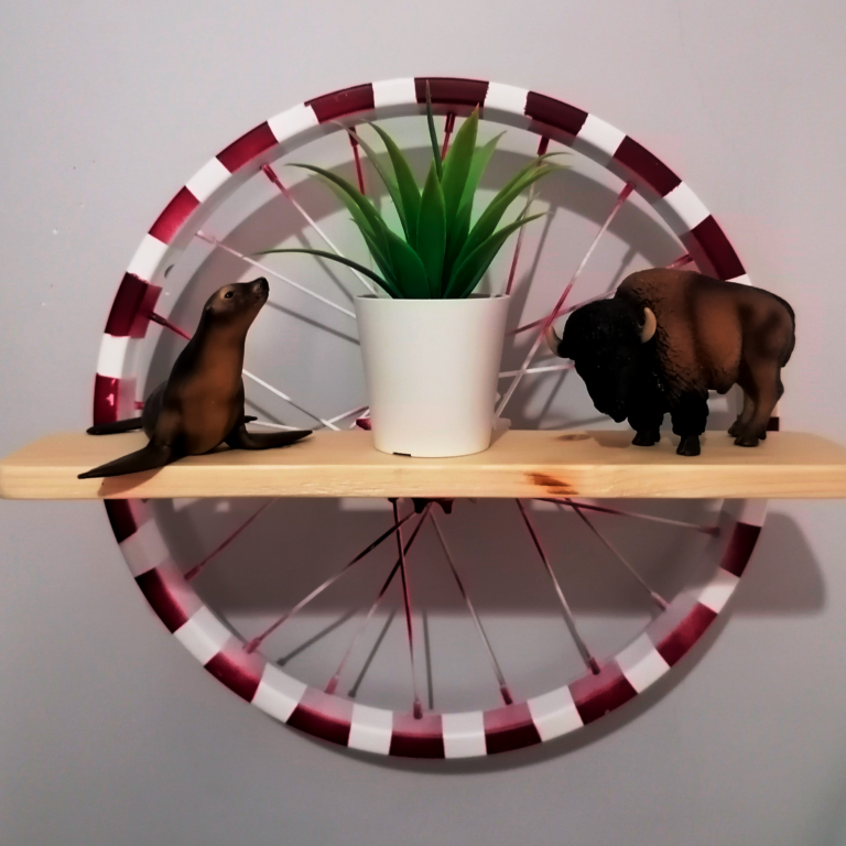 roda vermelha 1