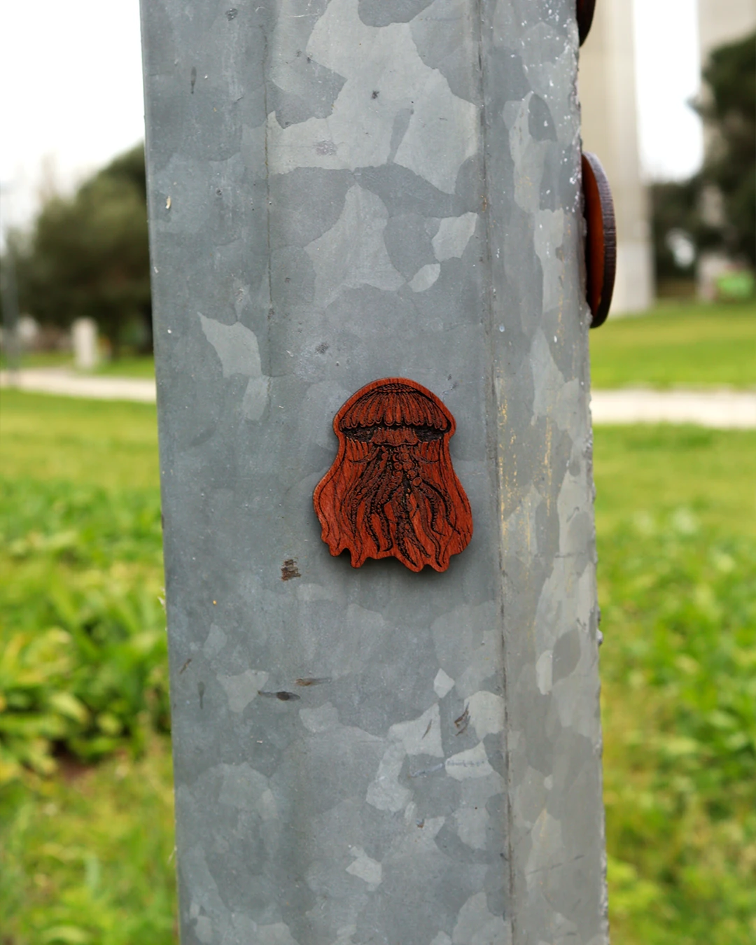 Íman simples mostrando alforreca ao ar livre num parque